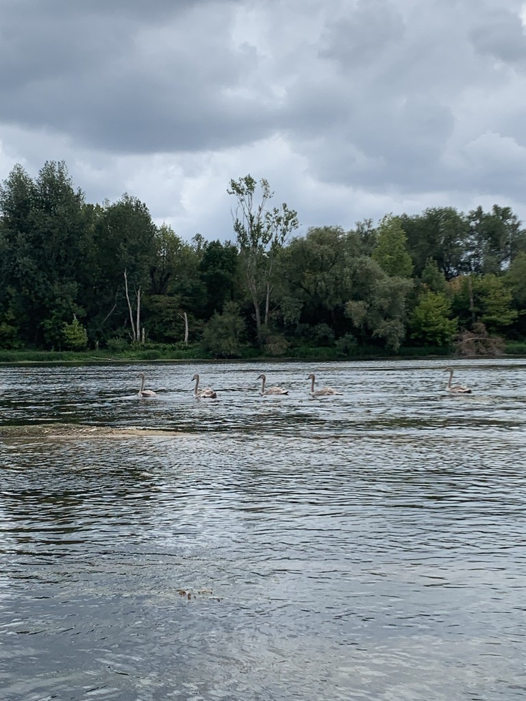 La Loire été 2022