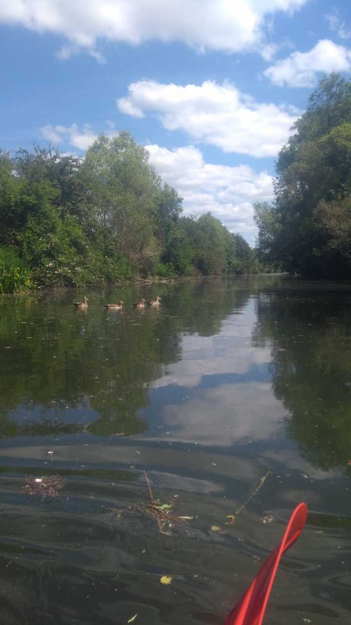 Sur la Nied mai 2020