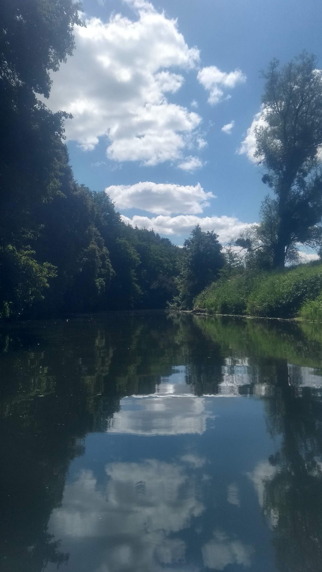 Sur la Nied mai 2020