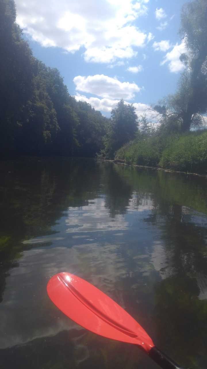 Sur la Nied mai 2020