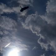 L'envol dans le ciel d'un héron cendré
