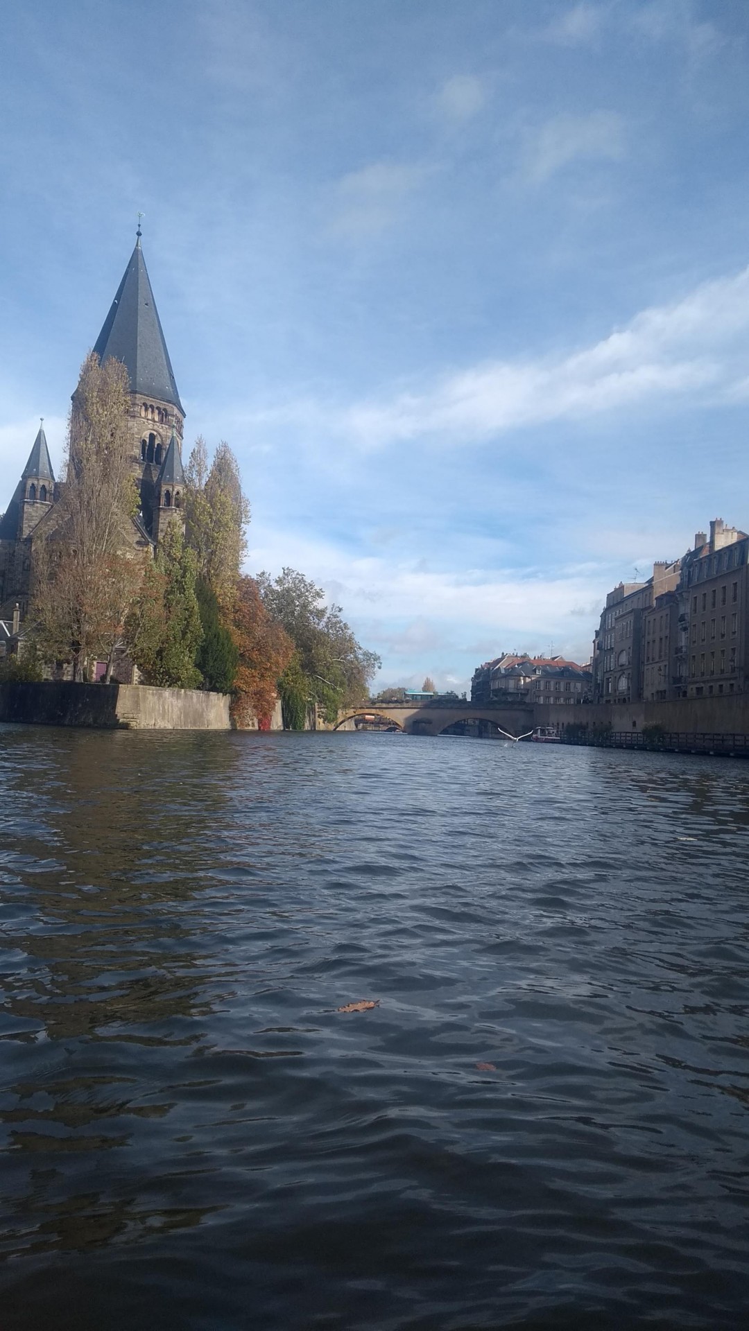 Le décollage du cygne