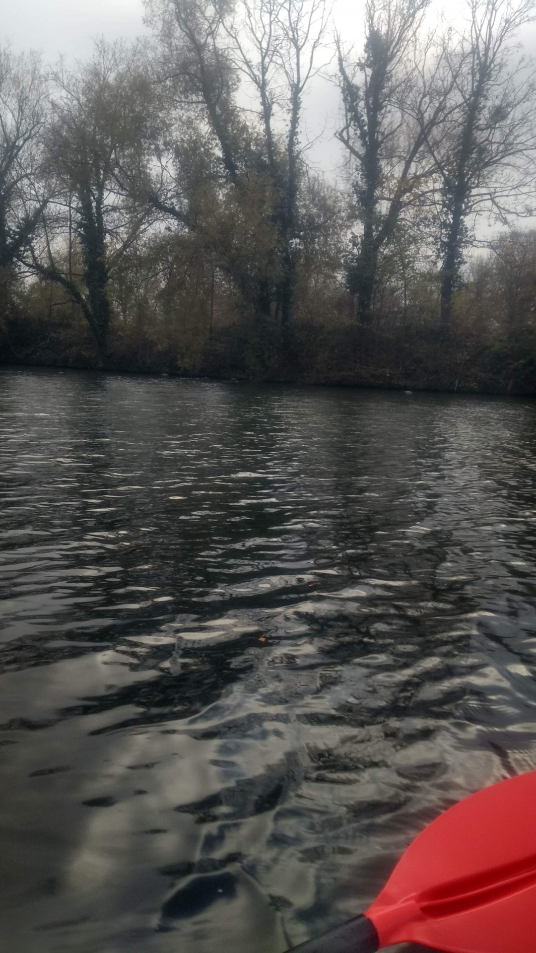 Circuit habituel sur la Moselle