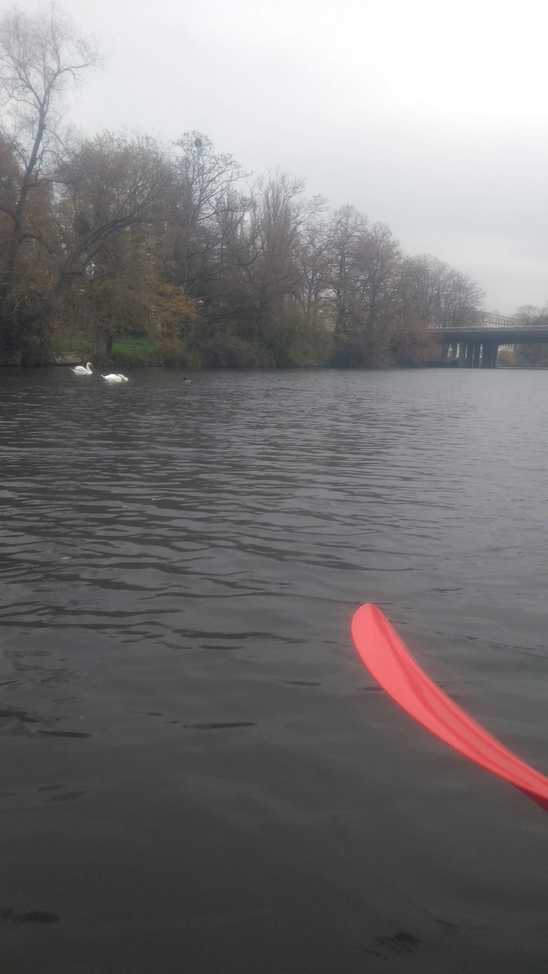 Circuit habituel sur la Moselle