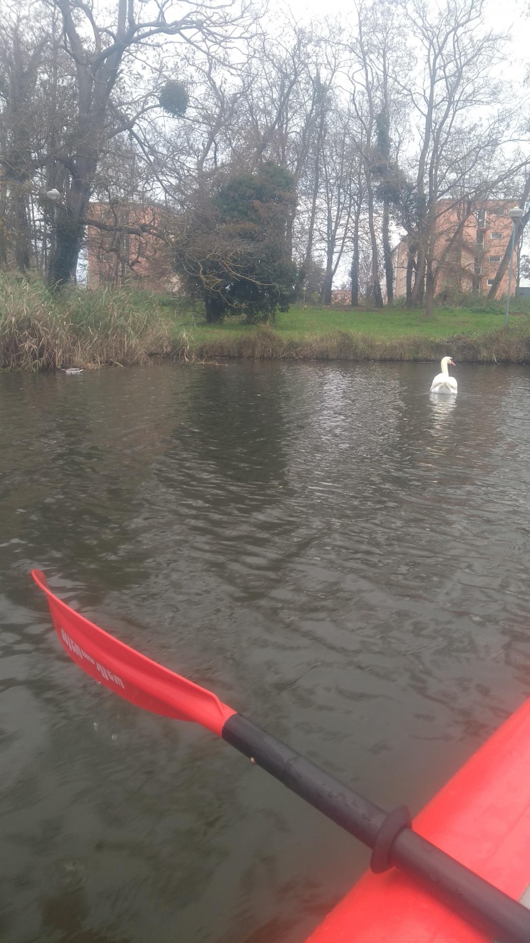 Circuit habituel sur la Moselle