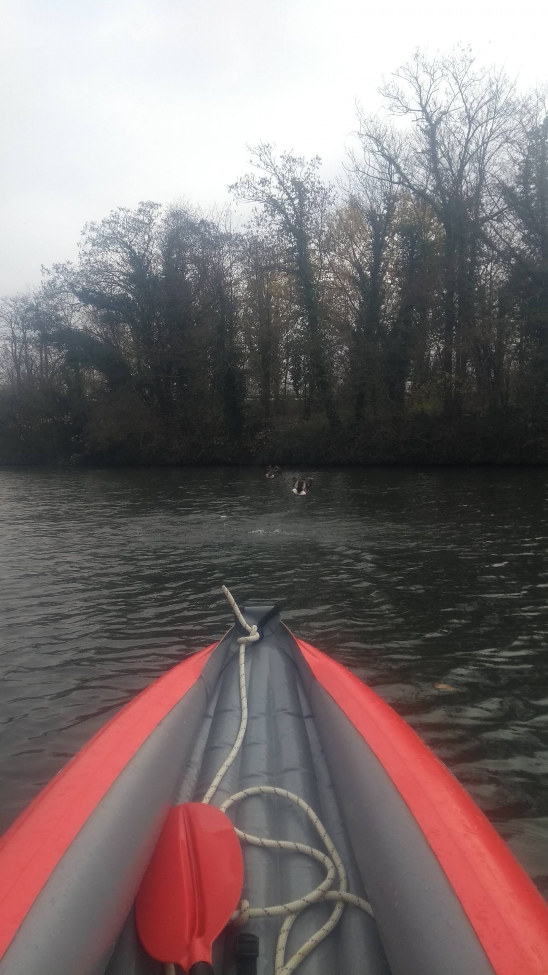 Circuit habituel sur la Moselle