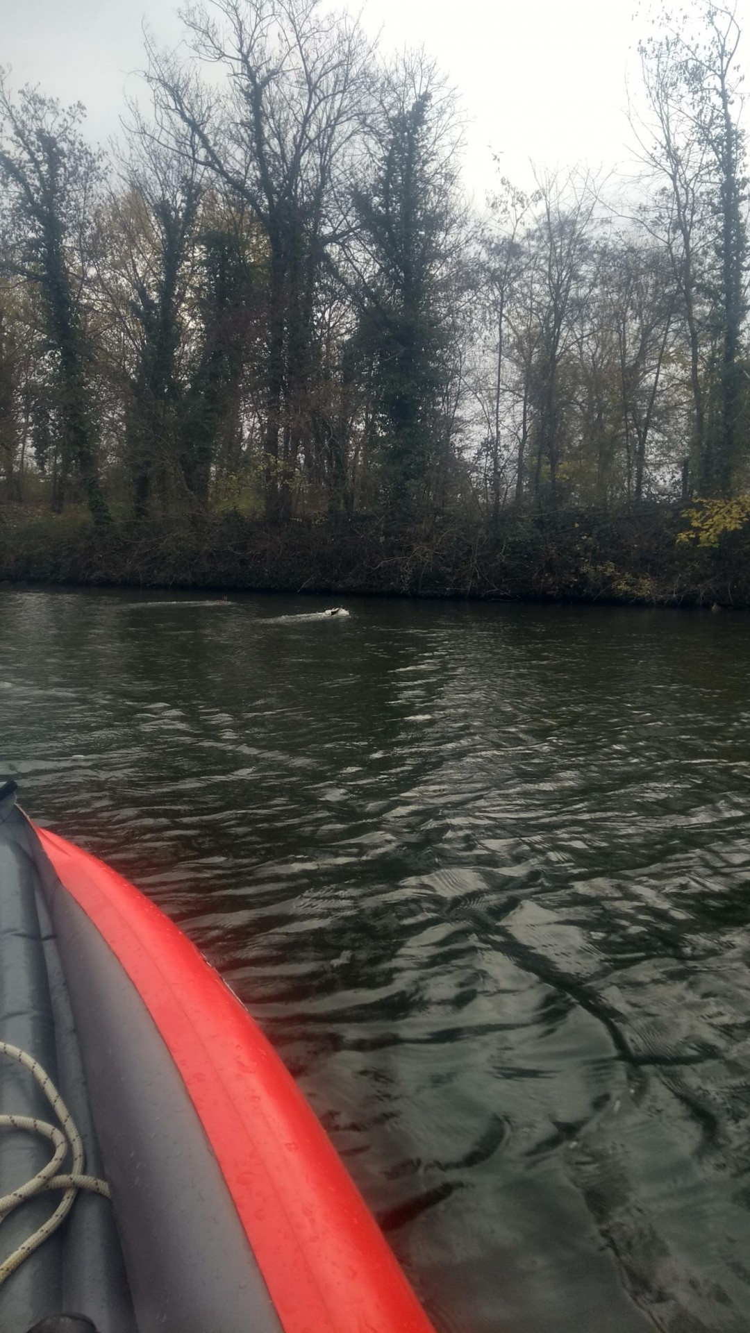 Circuit habituel sur la Moselle