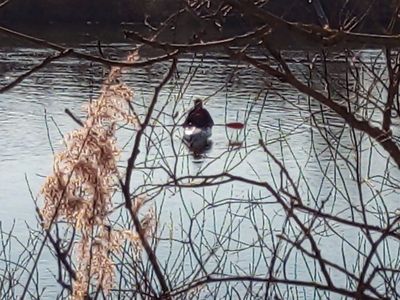test d'un kayak à Bousse