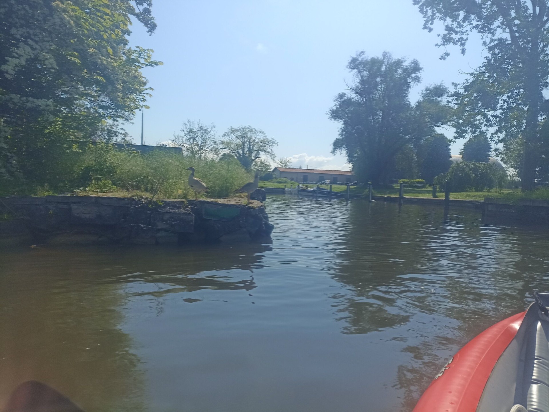 La Moselle à Metz