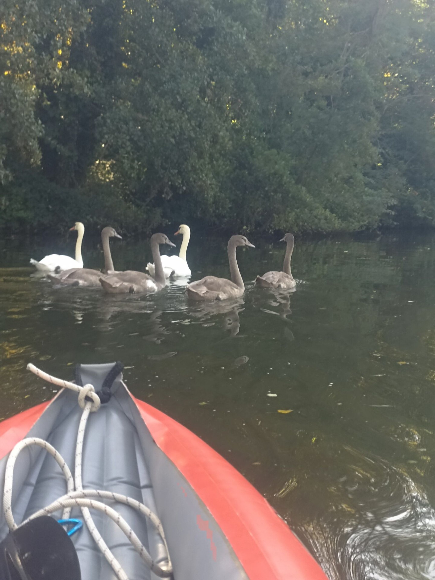 Une belle petite famille