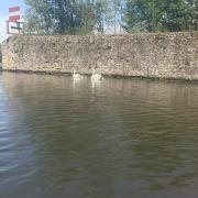 A Metz